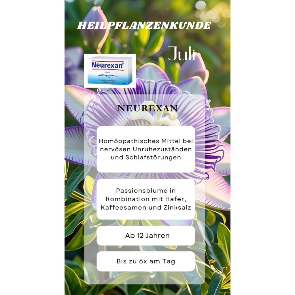 Instagram post from apotheke_rastatt.de. This post is in position 2.