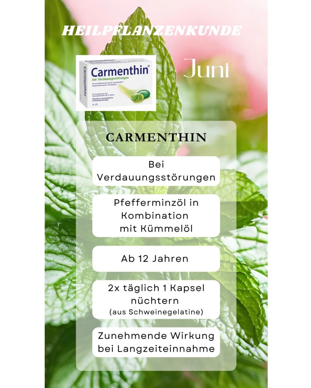 Instagram post from apotheke_rastatt.de. This post is in position 2.