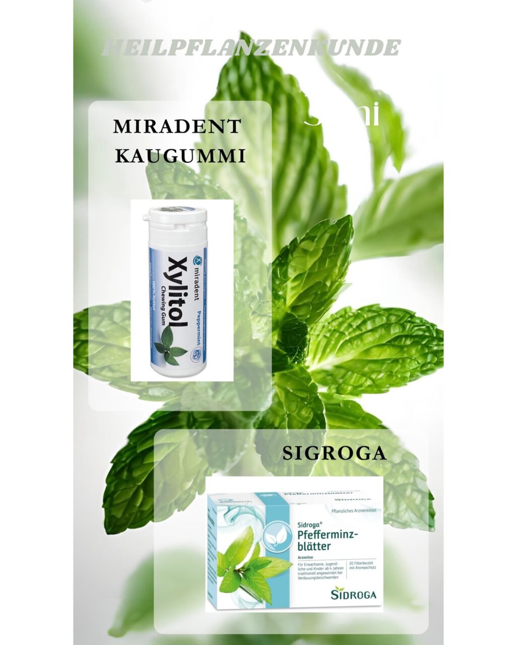 Instagram post from apotheke_rastatt.de. This post is in position 5.